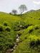 Ali_Sharifkazemi_931123 (4)_resize.jpg